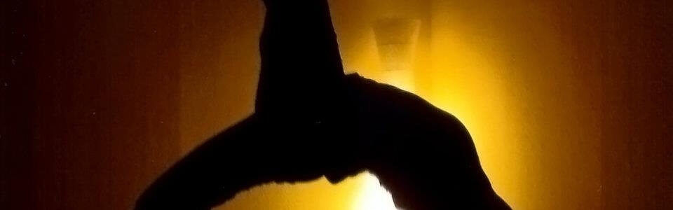 Yoga bewusstes Leben Blog