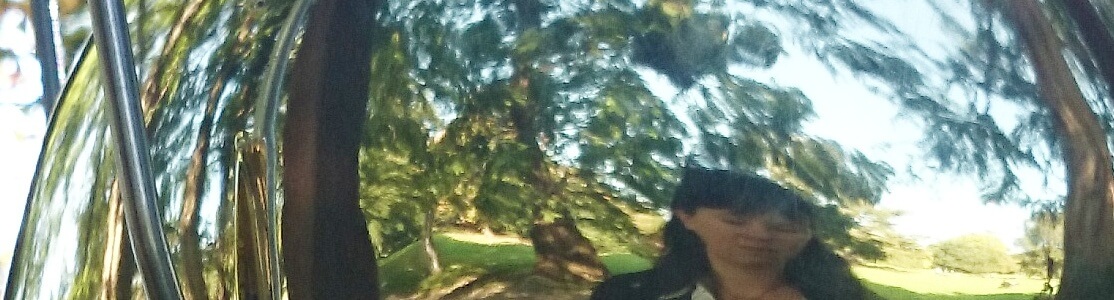 Spiegelung Heinrich Vetter Weg Skulpturen Mannheim Luisenpark