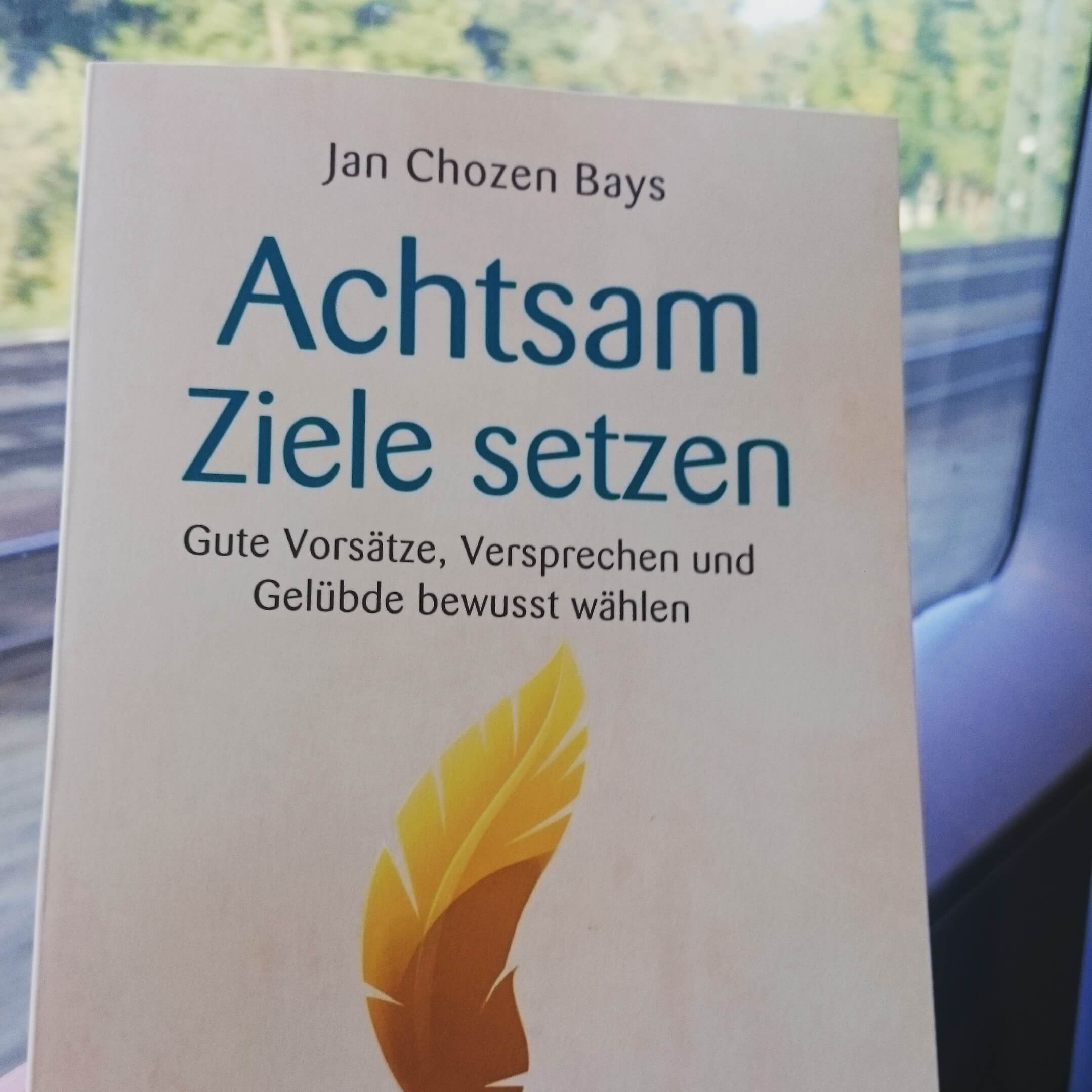 Buch Achtsam Ziele setzen