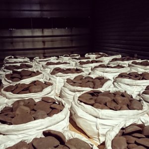 Stahlbarren von Dan Peterman in der Neuen Neuen Galerie auf der Documenta in Kassel.