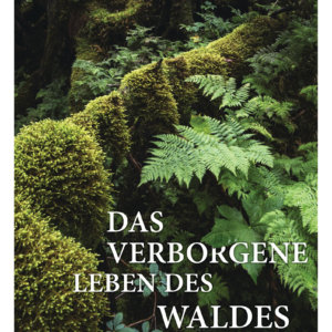 Naturbeobachtung: Das verborgene Leben des Waldes von David G. Haskell