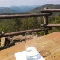 Mannheim. Pfalz. Odenwald. Kurpfalz. Ich bin vunn do!