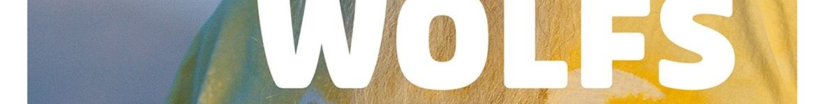 Wolfsmedizin: Wolf Dieter Storl bereist die Mongolei und Sibirien und besucht Schamanen, Heiler und Wölfe.