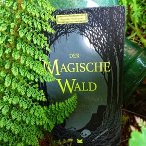 Schauergeschichten erzählen mit Bildkarten: der magische Wald. Diese 20 Bildkarten lassen sich beinahe unendlich miteinander kombinieren. Wie auch immer du sie hinlegst, sie passen wie durch Zauberei stets zueinander, sodass sie zusammenhängende Szenen ergeben und dir unzählige Möglichkeiten bieten, Geschichten zu erfinden. Durchquere eine verzauberte Landschaft, die von feuerspeienden Drachen, magischen Einhörnern und finsteren Gestalten bewohnt wird, und lass deiner Fantasie freien Lauf! Wohin wird dich deine Geschichte führen? Insgesamt gibt es über 2 Trillionen Möglichkeiten, mit den Bildkarten Geschichten zu erzählen. Wenn alle Teile verwendet werden, wird deine Geschichte 1,70 m lang.