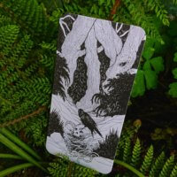 Gruselgeschichte mit Bildkarten erzählen: der magische Wald. Durchquere eine verzauberte Landschaft, die von feuerspeienden Drachen, magischen Einhörnern und finsteren Gestalten bewohnt wird, und lass deiner Fantasie freien Lauf!