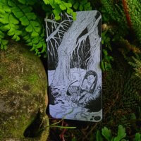 Der magische Wald. Diese 20 Bildkarten lassen sich beinahe unendlich miteinander kombinieren.