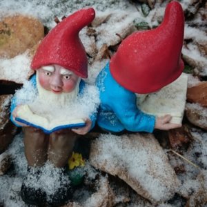 Kinderbuch- und Bilderbuch-Tipps vom Buchkind Blog. Bild: Lesende Gartenzwerge im Schnee