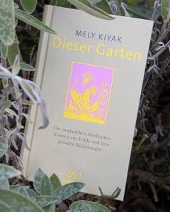 Mely Kiyak
Dieser Garten
Die unglaublich fabelhaften Nonnen aus Fulda und ihre genialen Erfindungen
Das Buch liegt in einem Salbeistrauch