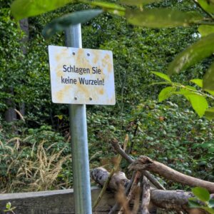 Kunstwerk auf dem Waldkunstpfad Darmstadt: ein Schild mit dem text "Schlagen sie keine Wurzeln"