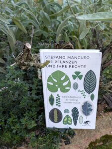 „Die Pflanzen und ihre Rechte. Eine Charta zur Erhaltung unserer Natur“ Das Buch von Stefano Mancuso steht vor einem Salbei-Strauch