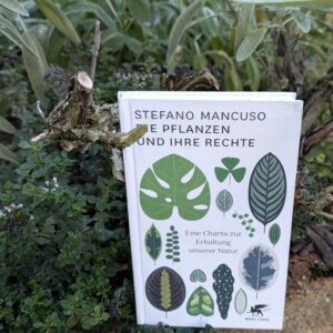 Die Pflanzen und ihre Rechte. Eine Charta zur Erhaltung unserer Natur. Buch von Stefano Mancusa